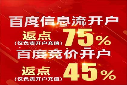 竞价广告投放策略，代运营公司的成功实践